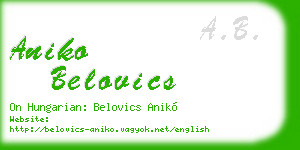 aniko belovics business card